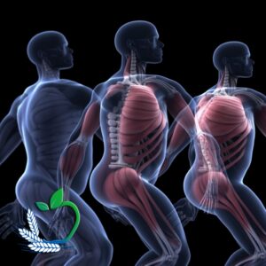 Czy Ozempic spala mięśnie?