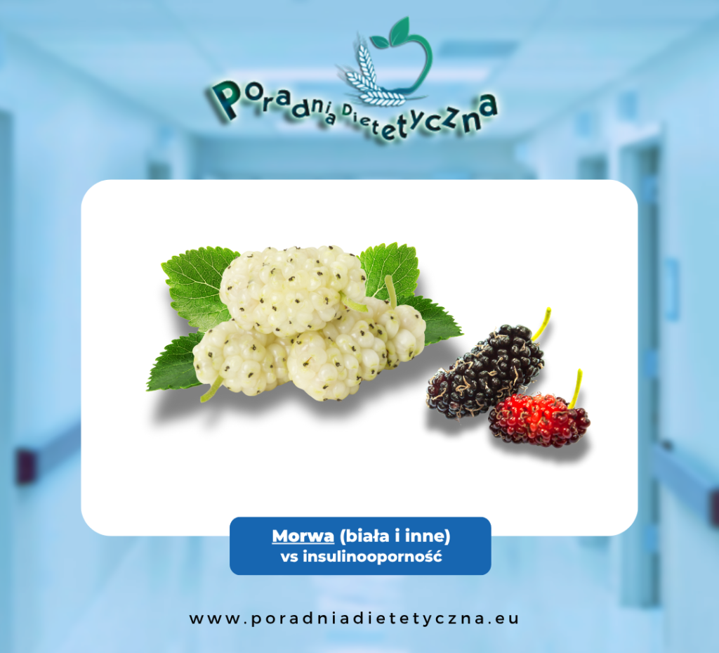 Owoce morwy białej a insulina – obalam mit!